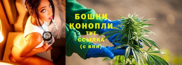 спайс Аркадак