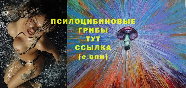 спайс Аркадак