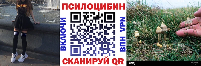 где можно купить наркотик  Углич  Псилоцибиновые грибы мицелий 